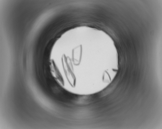 X0000113020382200910081205