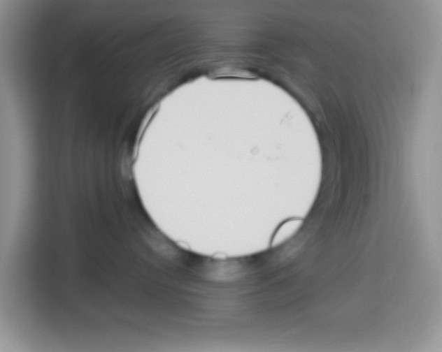 X0000113020384200910081205