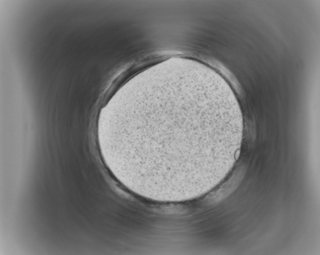 X0000113020385200910081204