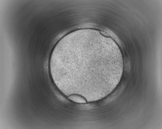 X0000113020389200910081204