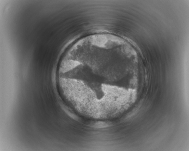 X0000113020390200910081204