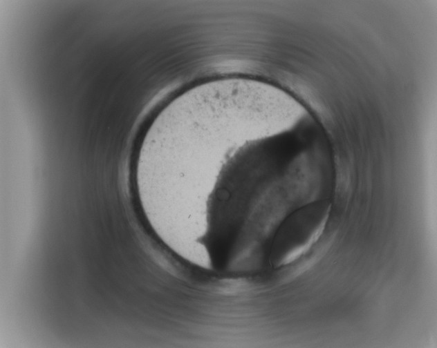 X0000113020391200910081204