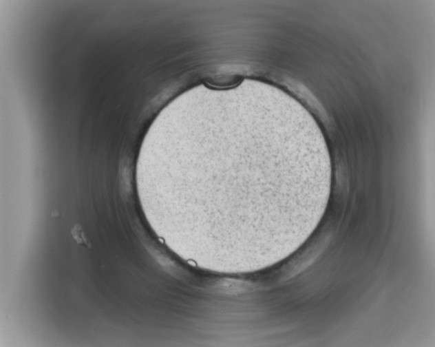 X0000113020393200910081204