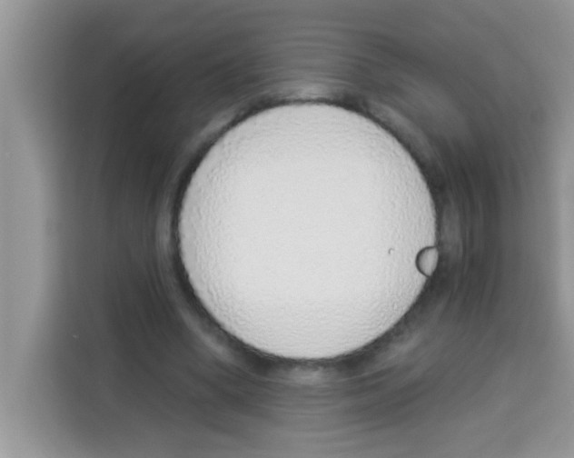 X0000113020394200910081204