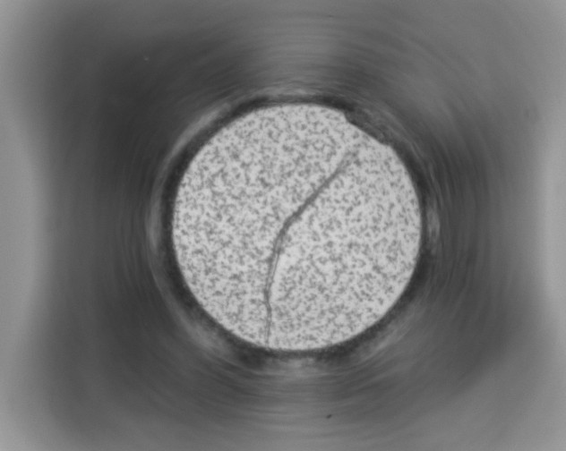 X0000113020396200910081204