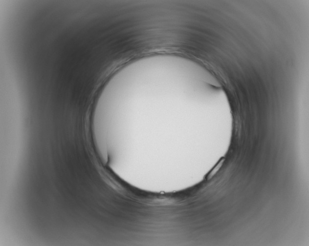 X0000113020397200910081204