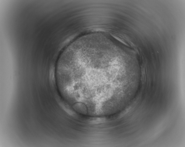 X0000113020398200910081204