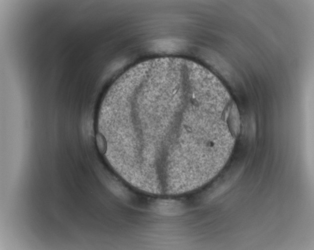 X0000113020399200910081204