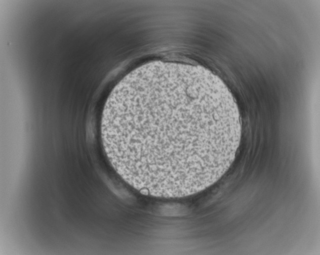 X0000113020400200910081204