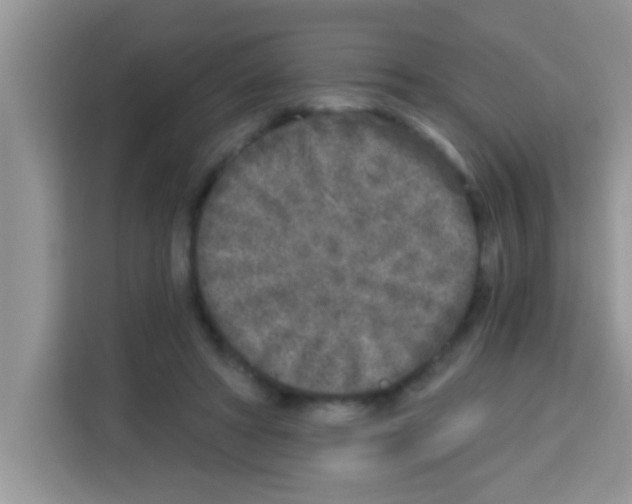 X0000113020402200910081204