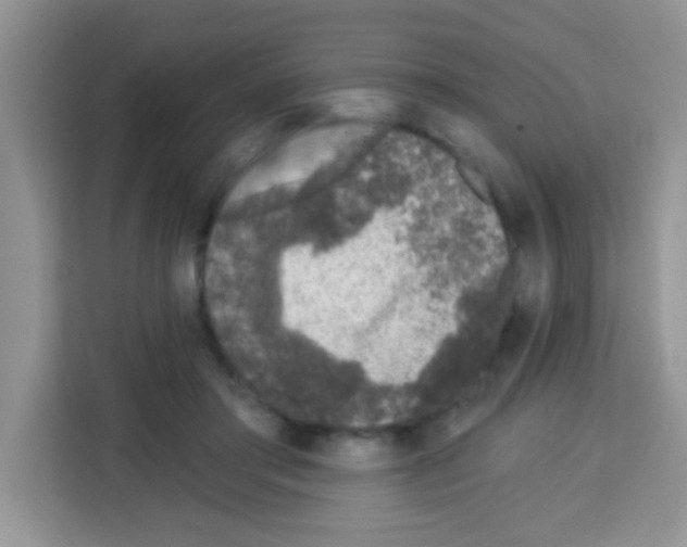 X0000113020405200910081204