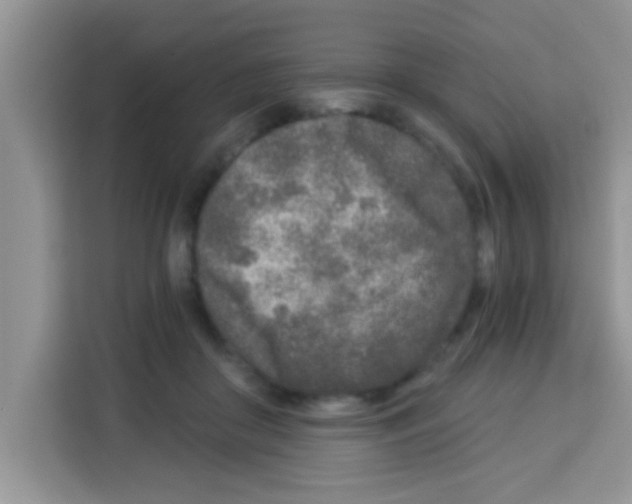 X0000113020410200910081204