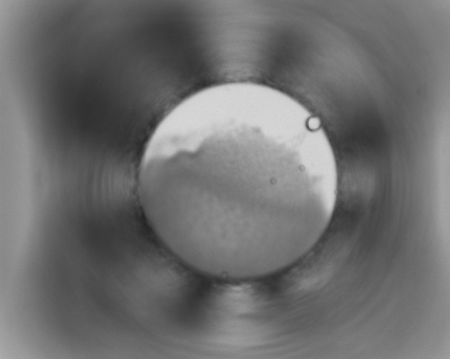 X0000113020411200910081204