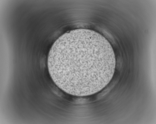 X0000113020413200910081204