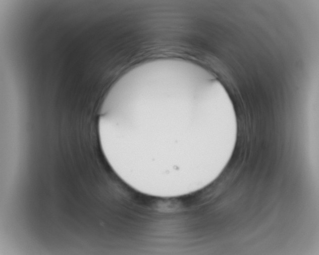 X0000113020415200910081204