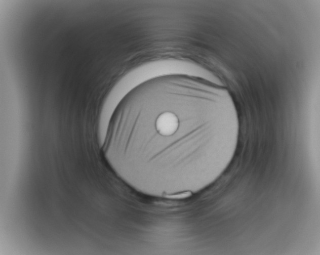 X0000113020417200910081204