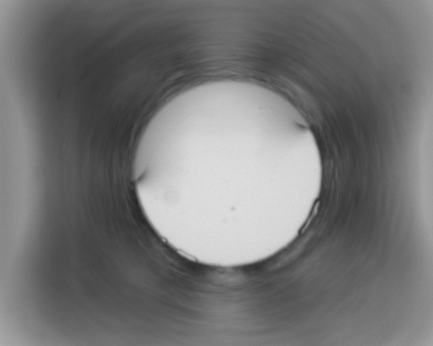 X0000113020421200910081204