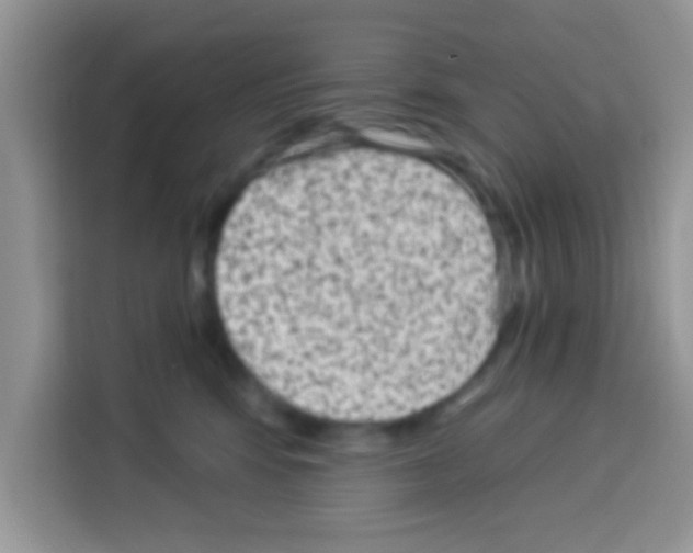 X0000113020424200910081204