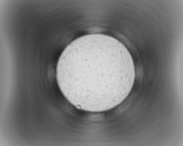 X0000113020426200910081204