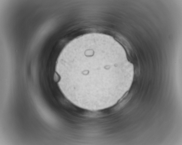 X0000113020429200910081203