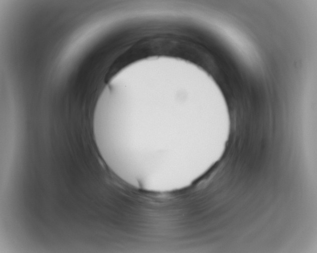 X0000113020431200910081203