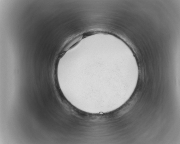 X0000113020434200910081203