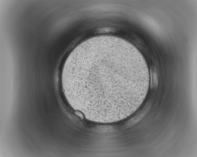 X0000113020435200910081203