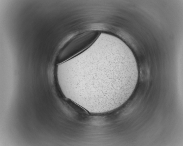 X0000113020436200910081203