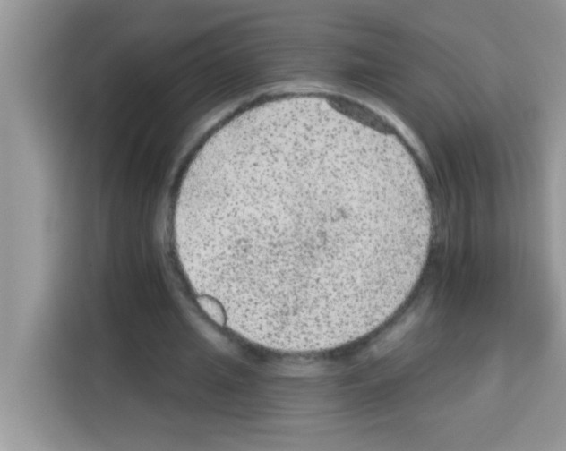 X0000113020437200910081203