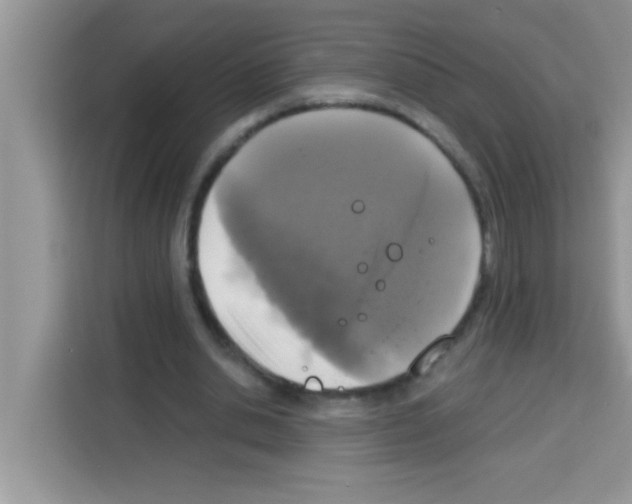 X0000113020438200910081203