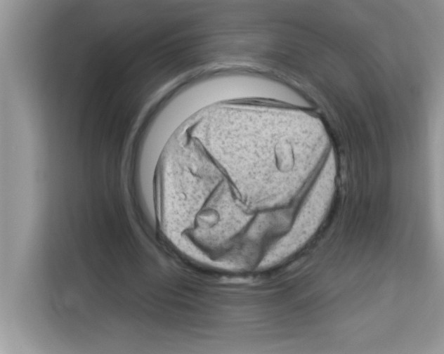 X0000113020440200910081203