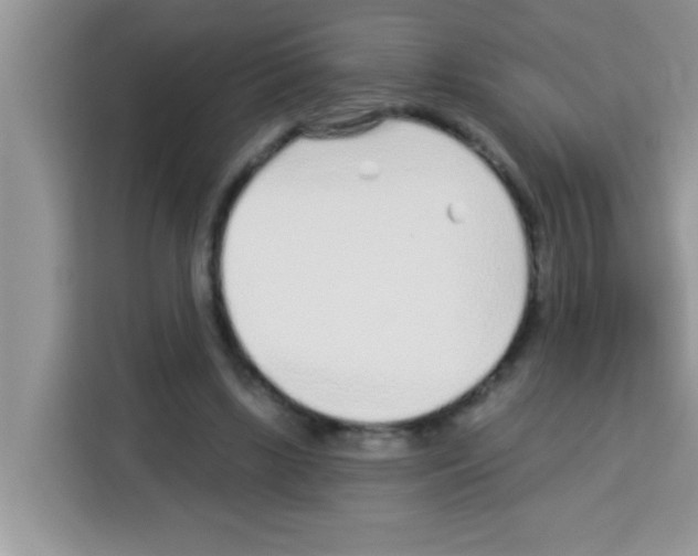 X0000113020443200910081203