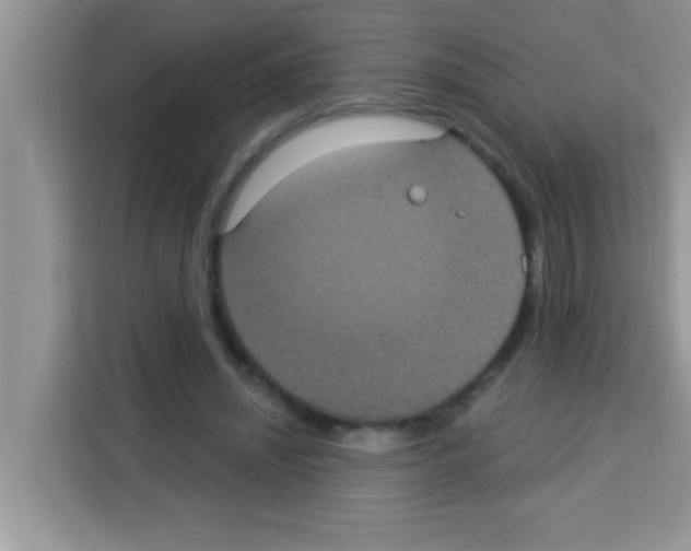 X0000113020444200910081203