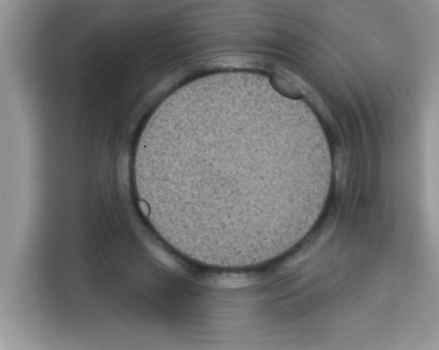 X0000113020445200910081203