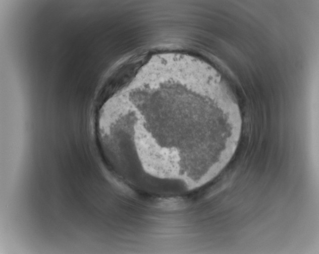 X0000113020446200910081203