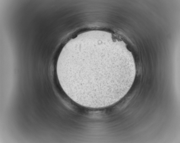 X0000113020448200910081203