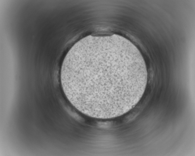 X0000113020450200910081203