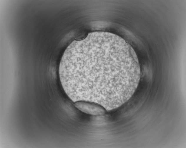 X0000113020452200910081203