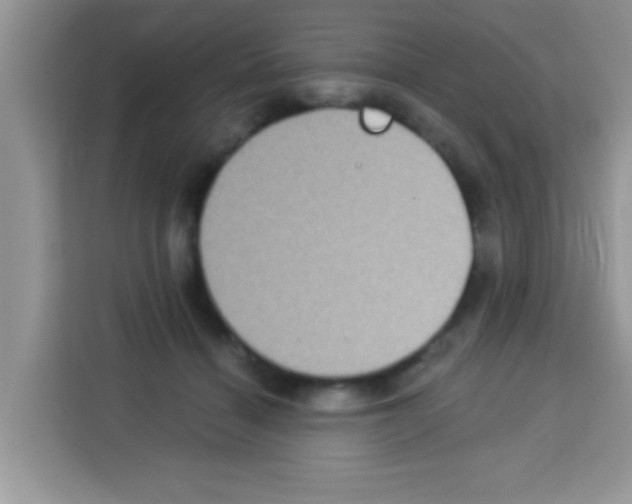 X0000113020460200910081203