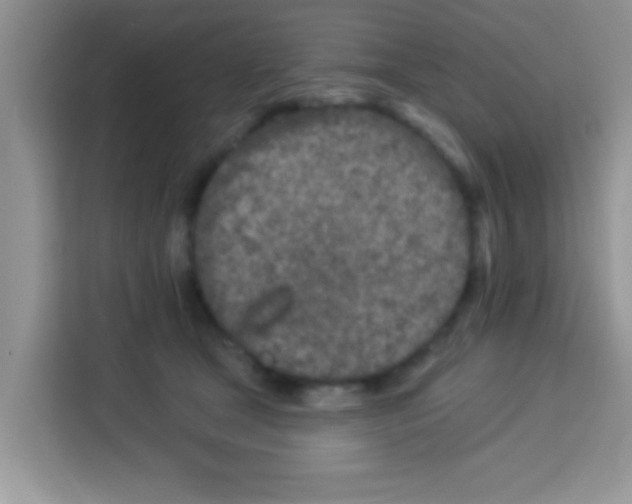 X0000113020465200910081203