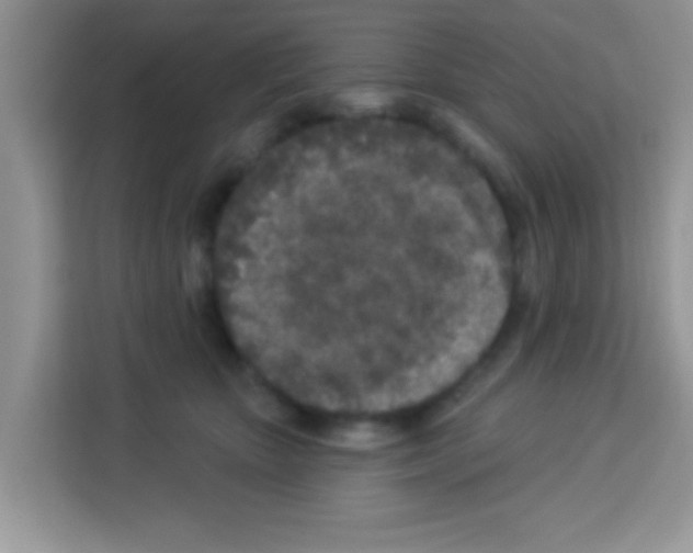 X0000113020467200910081203