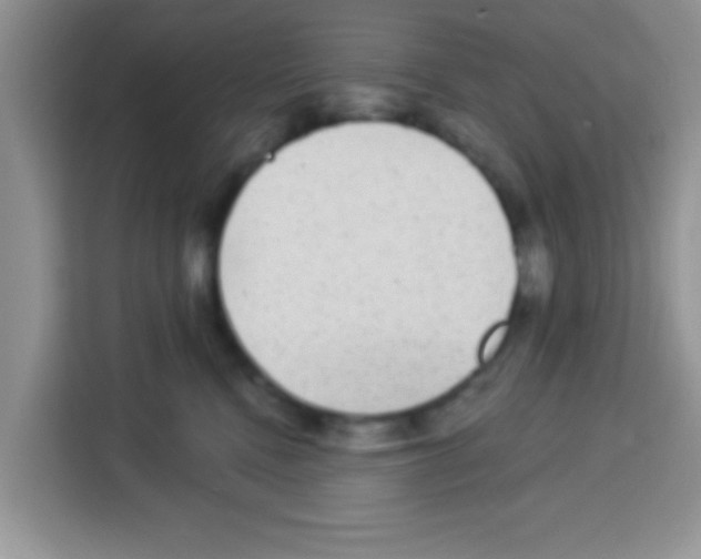 X0000113020472200910081203