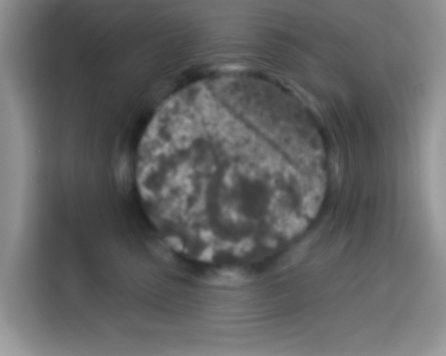 X0000113020475200910081203