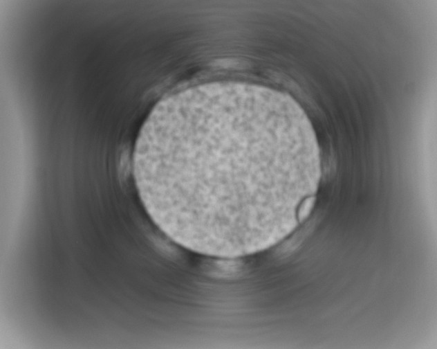 X0000113020478200910081203