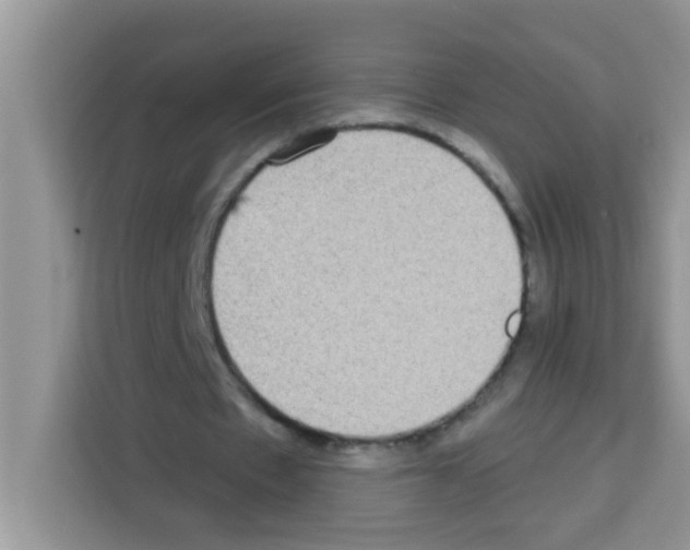 X0000113020481200910081203