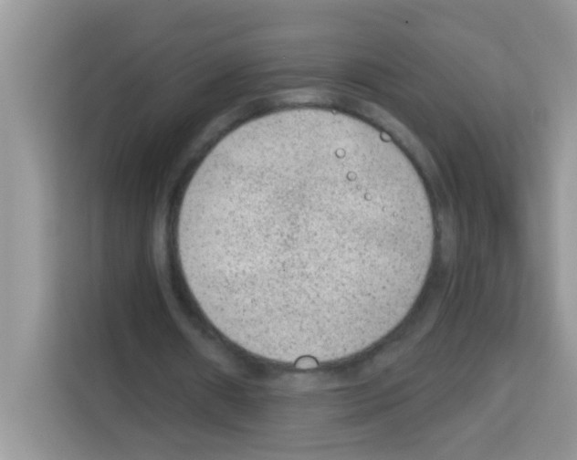 X0000113020482200910081203