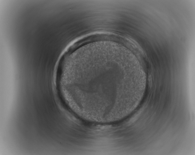 X0000113020484200910081203