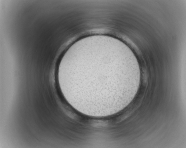 X0000113020486200910081203