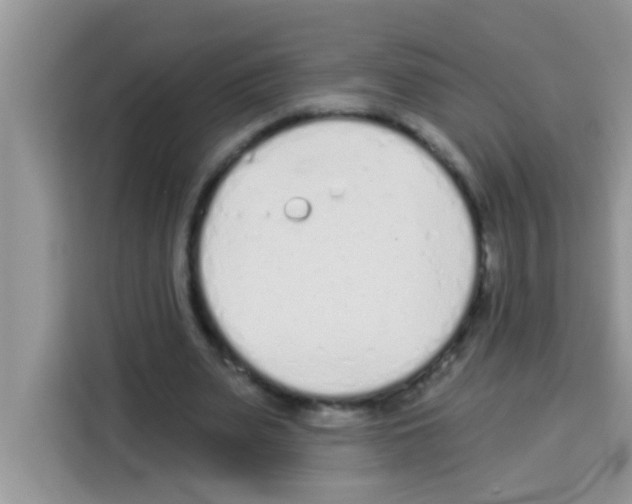 X0000113020487200910081203