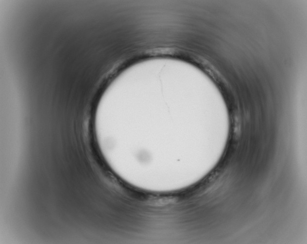 X0000113020491200910081203